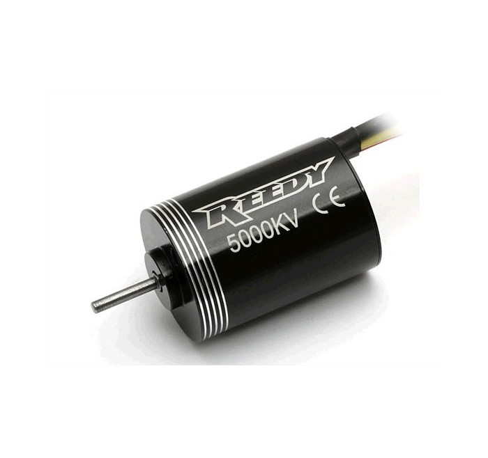 REEDY MICRO MOTORE BRUSHLESS 5000KV 