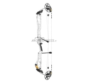 MATHEWS COMPOUND TITLE 38 G2 2025