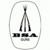 BSA